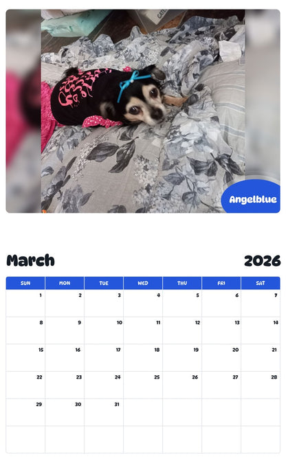 November 2025 - October 2026 Angelblue - Pawidols Pet Calendar