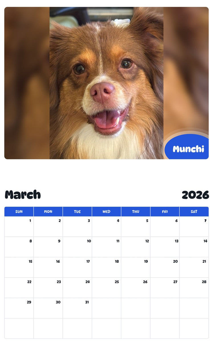 November 2025 - October 2026 Munchi - Pawidols Pet Calendar