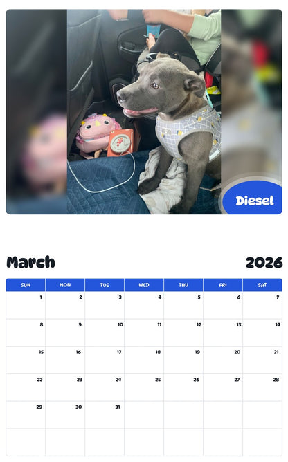 November 2025 - October 2026 Diesel - Pawidols Pet Calendar
