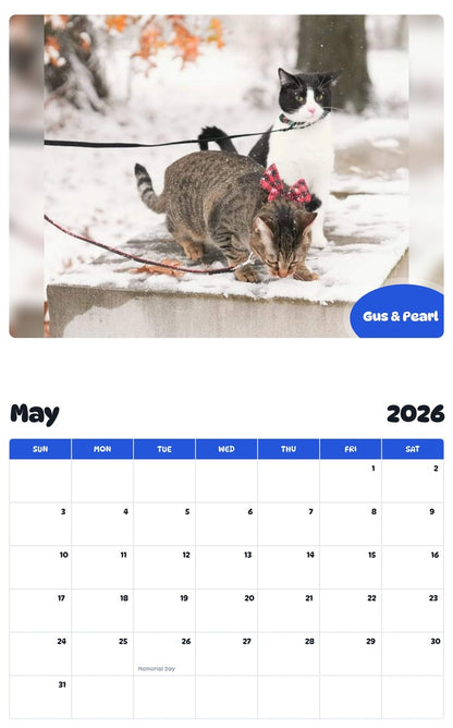 2026 - 2027 Gus & Pearl - Pawidols Pet Calendar
