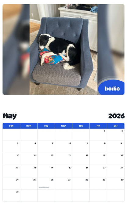 2026 - 2027 bodie - Pawidols Pet Calendar