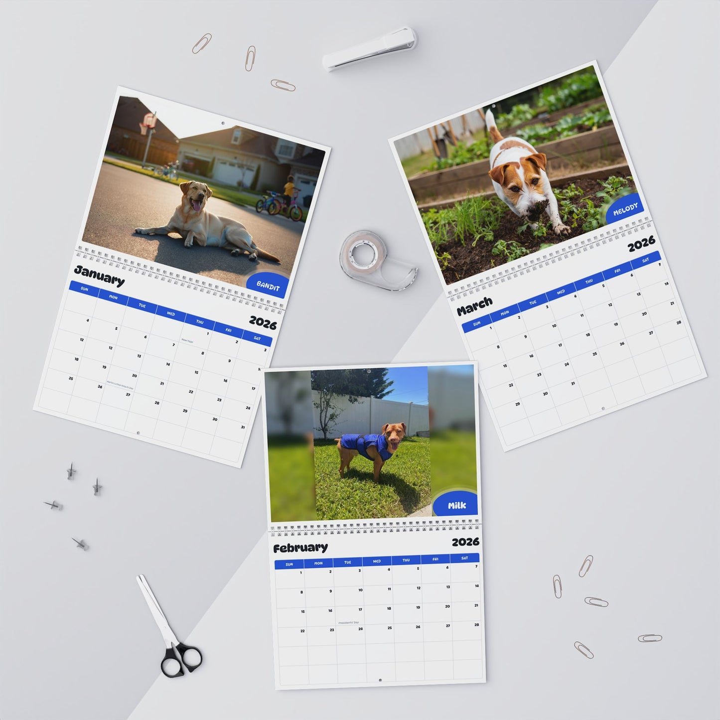 2026 - 2027 Milk - Pawidols Pet Calendar