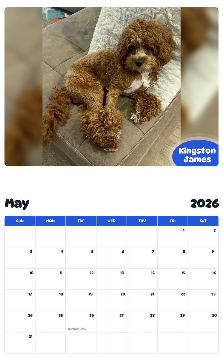 2026 - 2027 Kingston James - Pawidols Pet Calendar