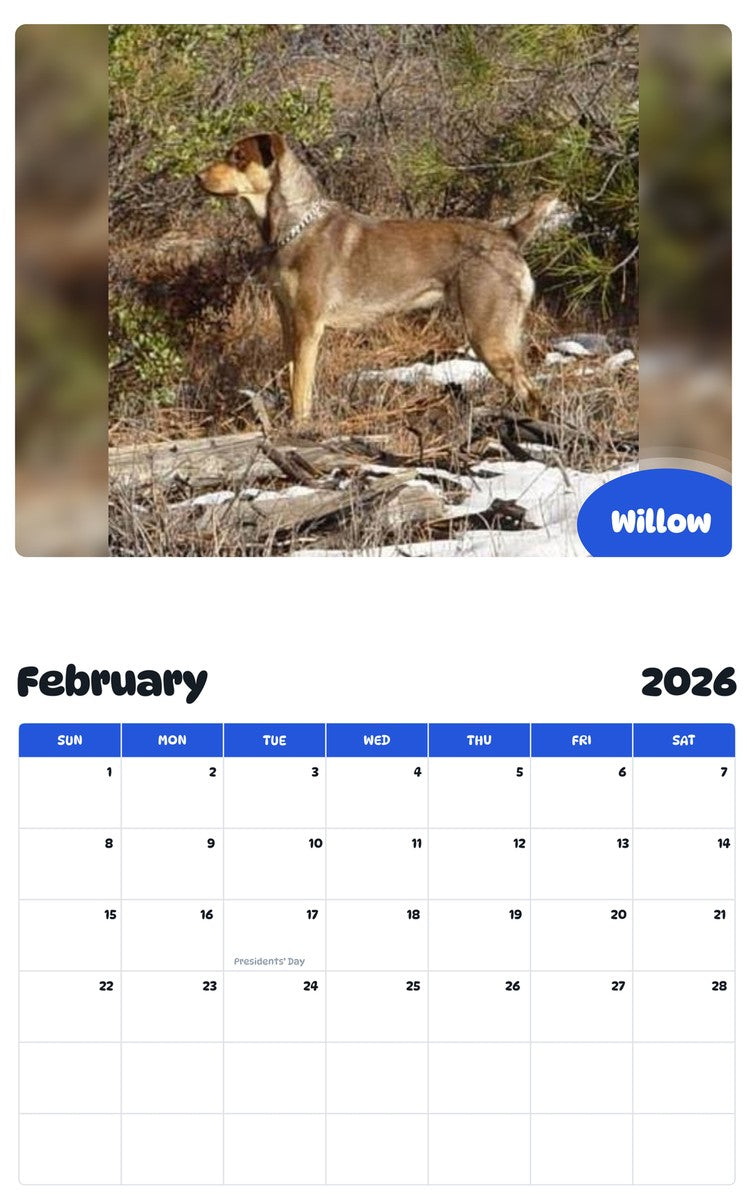 October 2025 - September 2026 Willow - Pawidols Pet Calendar