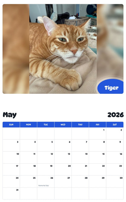 2026 - 2027 Tiger - Pawidols Pet Calendar