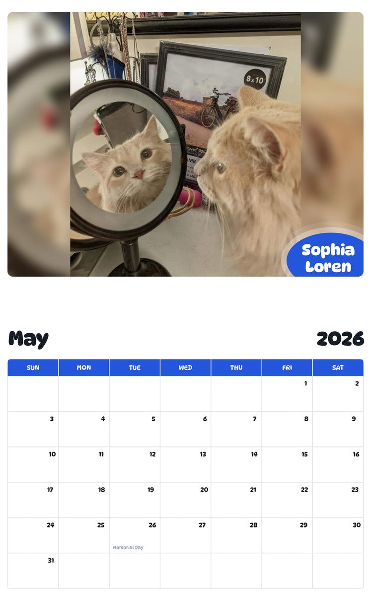 2026 - 2027 Sophia Loren - Pawidols Pet Calendar