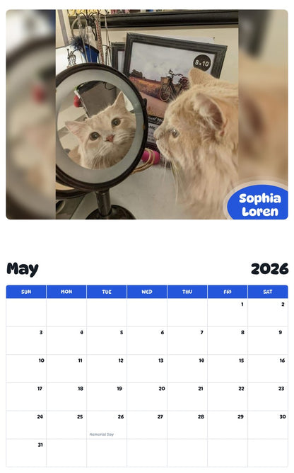 2026 - 2027 Sophia Loren - Pawidols Pet Calendar