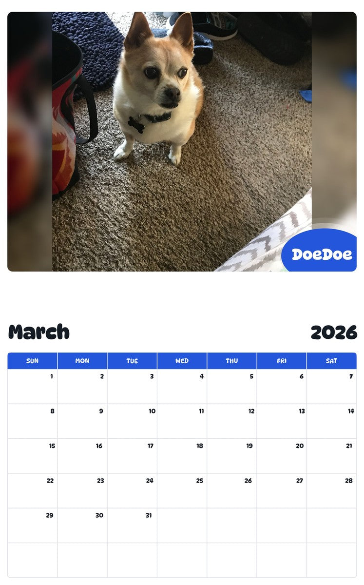 November 2025 - October 2026 DoeDoe - Pawidols Pet Calendar