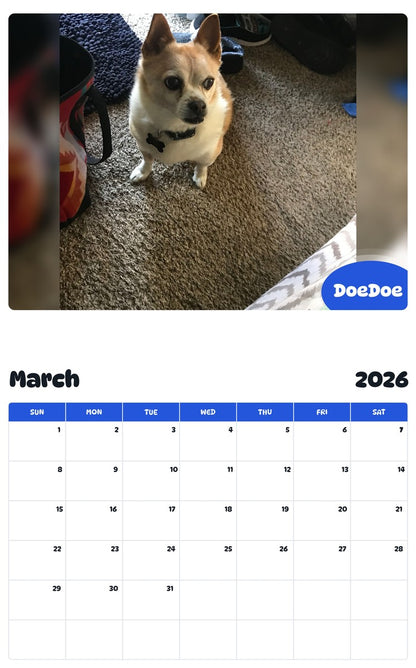 November 2025 - October 2026 DoeDoe - Pawidols Pet Calendar