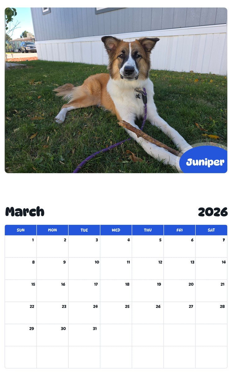 November 2025 - October 2026 Juniper - Pawidols Pet Calendar