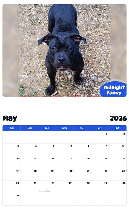 2026 - 2027 Midnight Fancy - Pawidols Pet Calendar