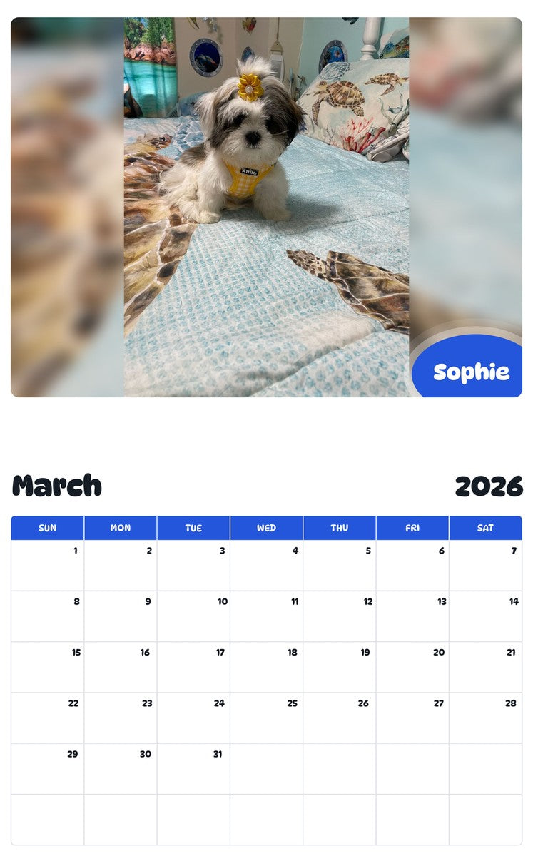 November 2025 - October 2026 Sophie - Pawidols Pet Calendar