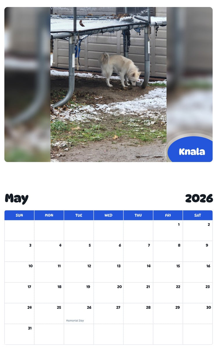 2026 - 2027 Knala - Pawidols Pet Calendar