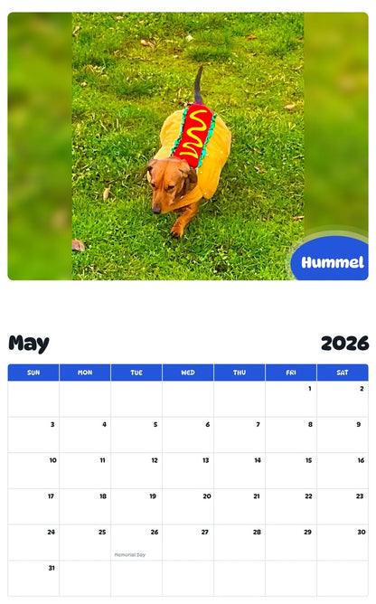 2026 - 2027 Hummel - Pawidols Pet Calendar