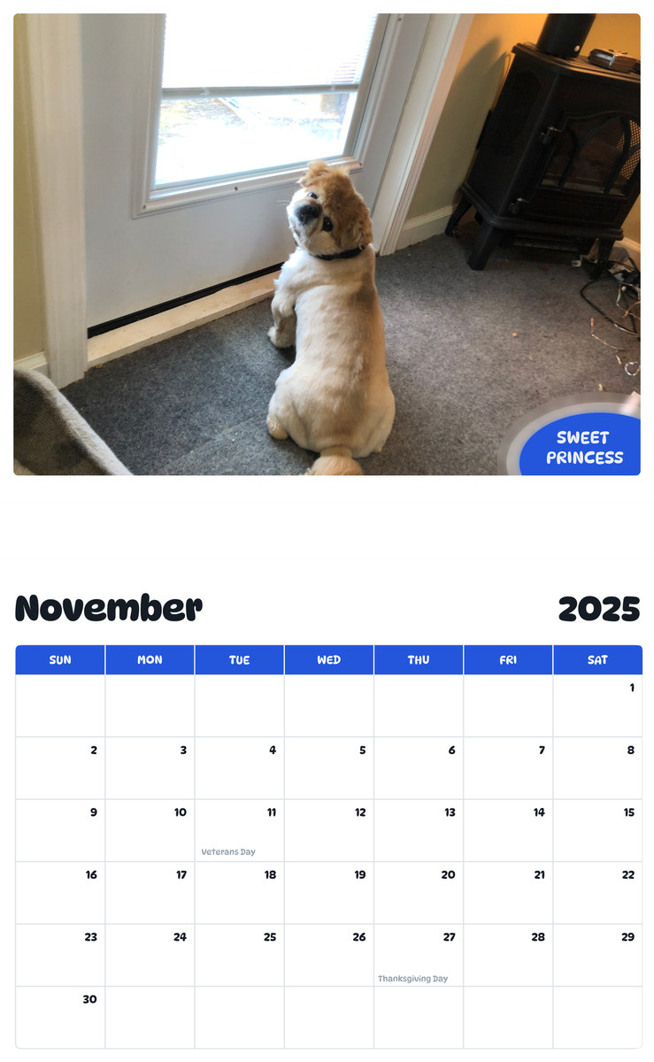 July 2025 - June 2026 Sweet Princess - Pawidols Pet Calendar