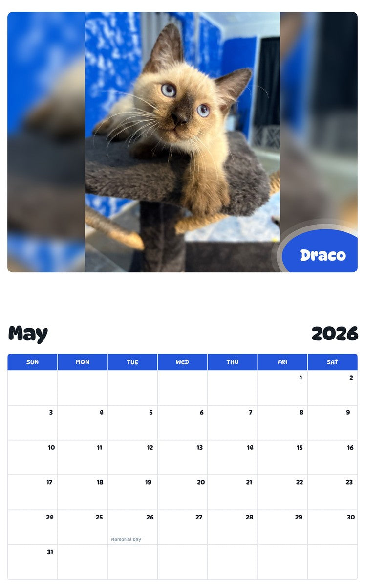 2026 - 2027 Draco - Pawidols Pet Calendar