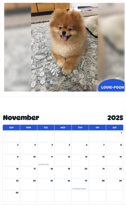 July 2025 - June 2026 Louie-Pooh - Pawidols Pet Calendar
