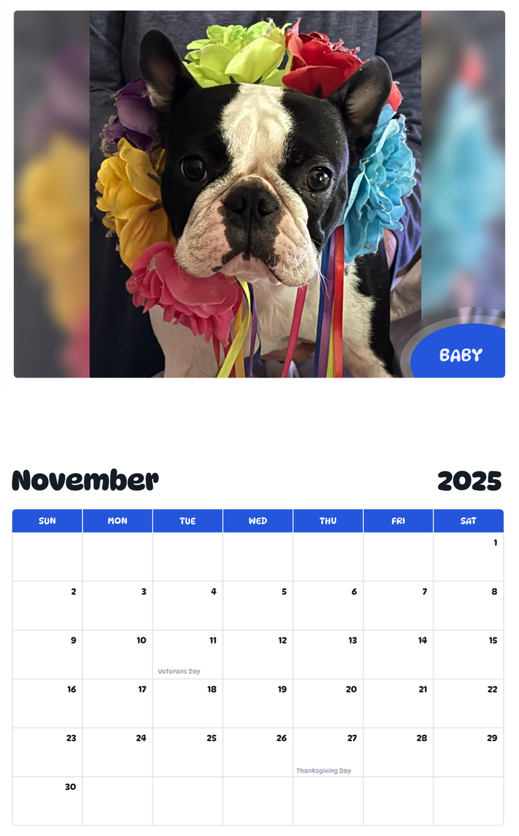 July 2025 - June 2026 Baby - Pawidols Pet Calendar