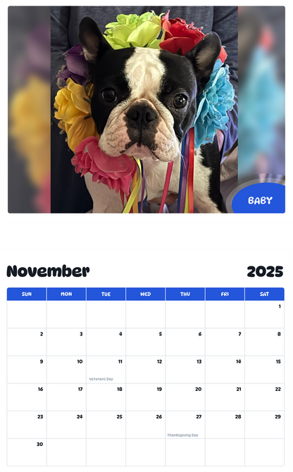 July 2025 - June 2026 Baby - Pawidols Pet Calendar