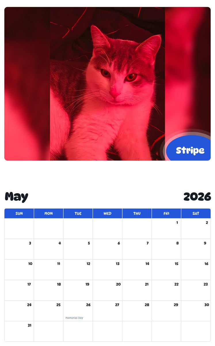 2026 - 2027 Stripe - Pawidols Pet Calendar