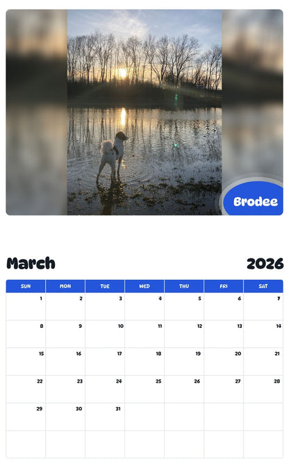 November 2025 - October 2026 Brodee - Pawidols Pet Calendar