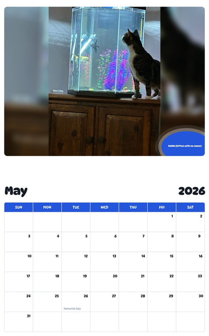 2026 - 2027 KWNN (kitten with no name) - Pawidols Pet Calendar