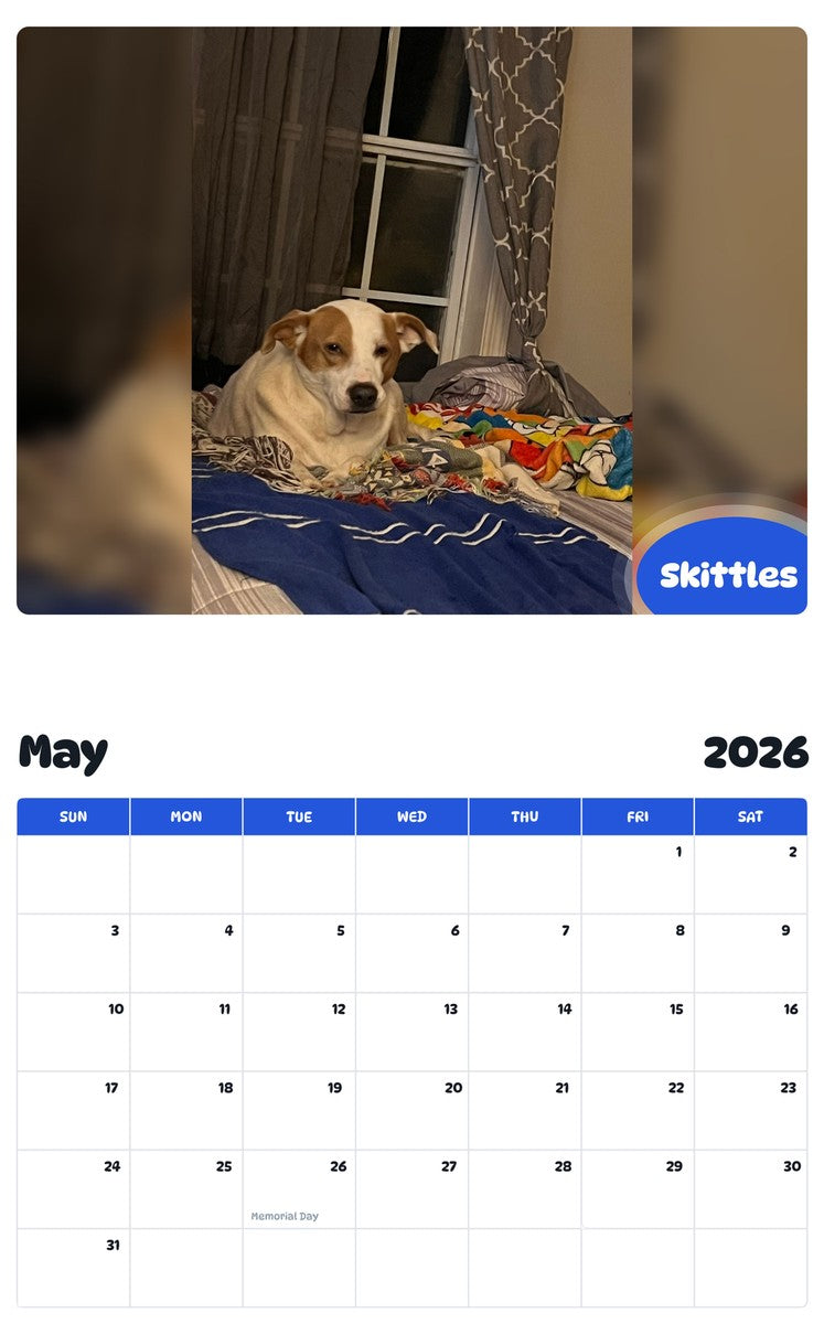 2026 - 2027 Skittles - Pawidols Pet Calendar