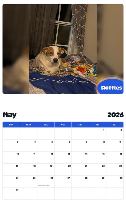 2026 - 2027 Skittles - Pawidols Pet Calendar