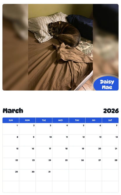 November 2025 - October 2026 Daisy Mae - Pawidols Pet Calendar