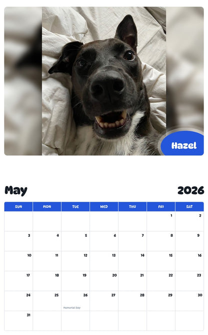 2026 - 2027 Hazel - Pawidols Pet Calendar