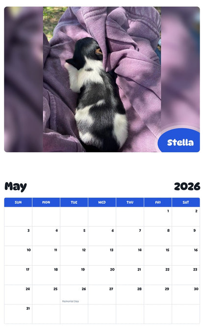 2026 - 2027 Stella - Pawidols Pet Calendar
