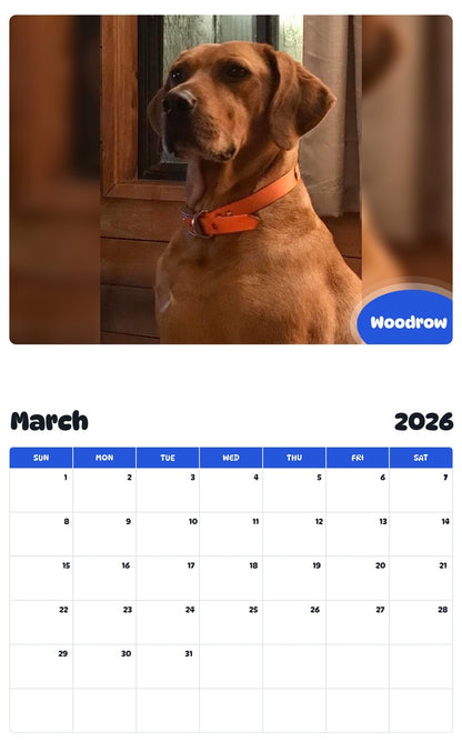 November 2025 - October 2026 Woodrow - Pawidols Pet Calendar