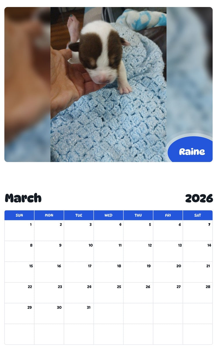 November 2025 - October 2026 Raine - Pawidols Pet Calendar