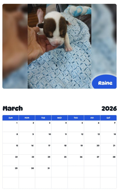 November 2025 - October 2026 Raine - Pawidols Pet Calendar