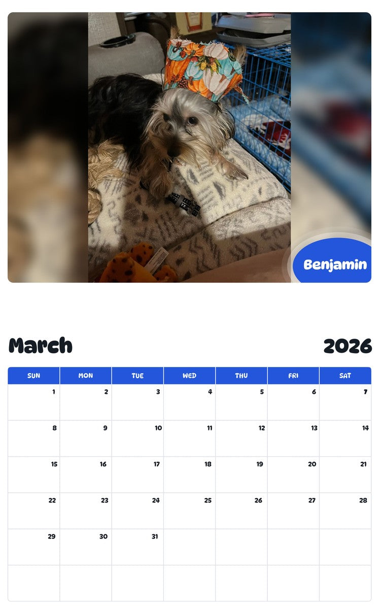 November 2025 - October 2026 Benjamin - Pawidols Pet Calendar