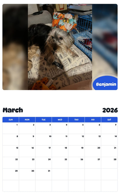 November 2025 - October 2026 Benjamin - Pawidols Pet Calendar