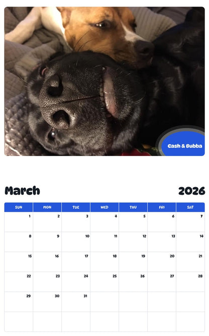 November 2025 - October 2026 Cash & Bubba - Pawidols Pet Calendar