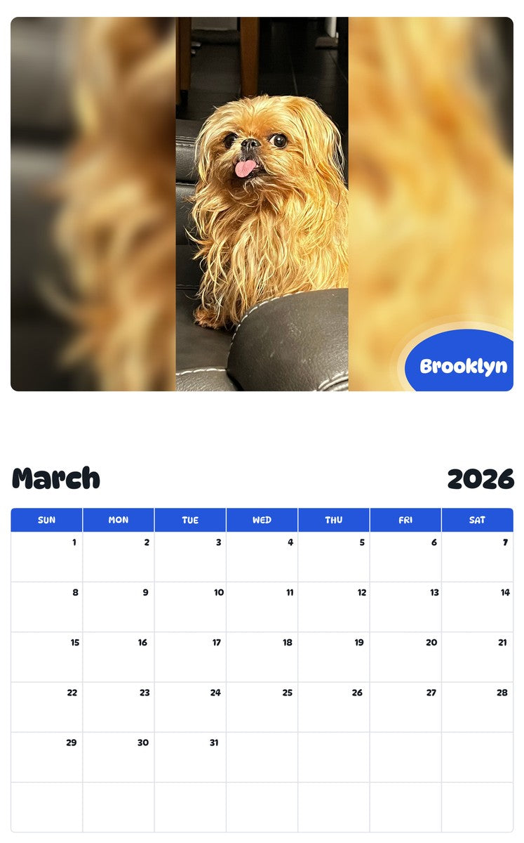 November 2025 - October 2026 Brooklyn - Pawidols Pet Calendar