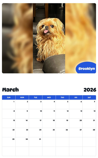 November 2025 - October 2026 Brooklyn - Pawidols Pet Calendar