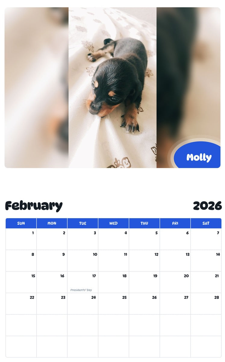 October 2025 - September 2026 Molly - Pawidols Pet Calendar