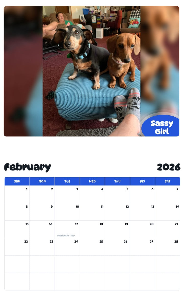 October 2025 - September 2026 Sassy Girl - Pawidols Pet Calendar