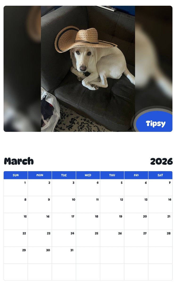 November 2025 - October 2026 Tipsy - Pawidols Pet Calendar