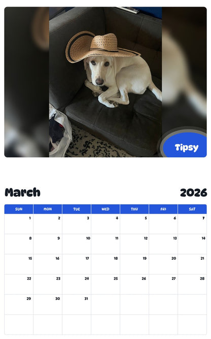 November 2025 - October 2026 Tipsy - Pawidols Pet Calendar