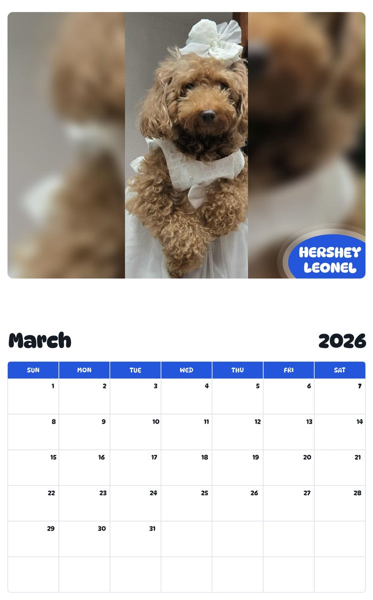 November 2025 - October 2026 HERSHEY LEONEL - Pawidols Pet Calendar