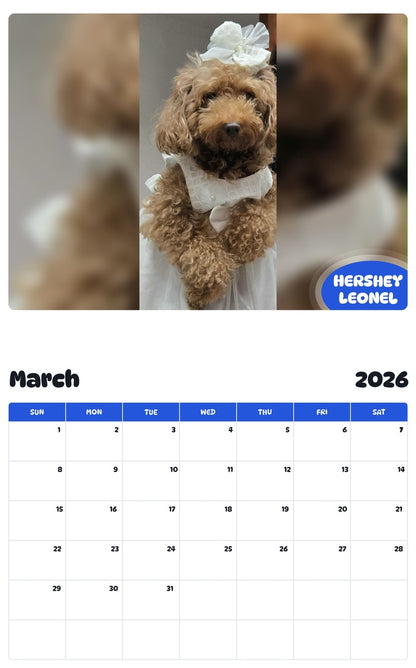 November 2025 - October 2026 HERSHEY LEONEL - Pawidols Pet Calendar