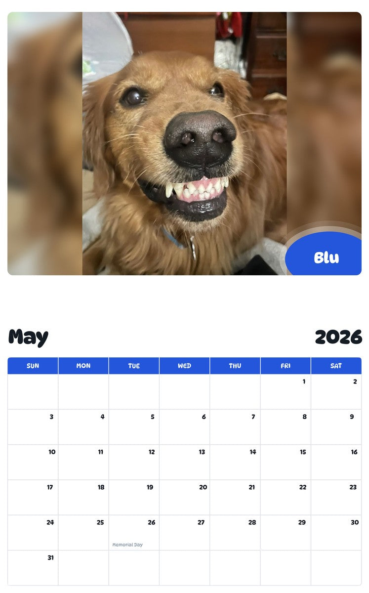 2026 - 2027 Blu - Pawidols Pet Calendar