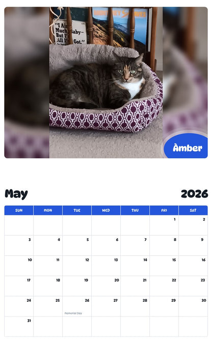 2026 - 2027 Àmber - Pawidols Pet Calendar
