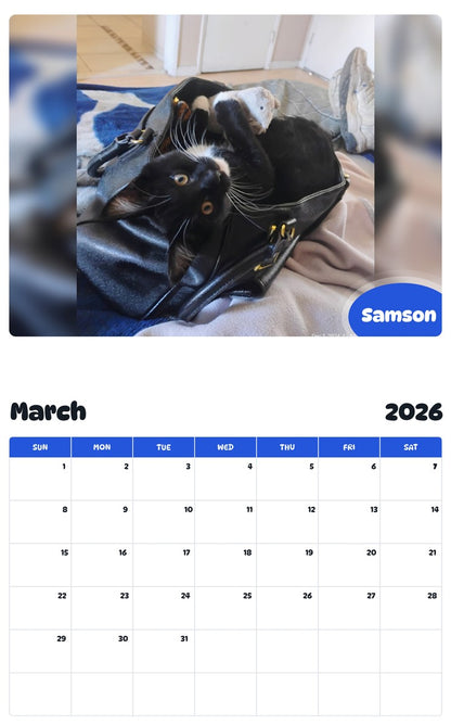 November 2025 - October 2026 Samson - Pawidols Pet Calendar