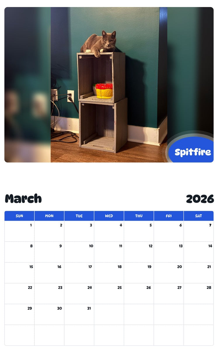 November 2025 - October 2026 Spitfire - Pawidols Pet Calendar
