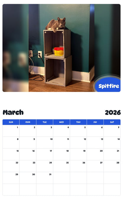 November 2025 - October 2026 Spitfire - Pawidols Pet Calendar